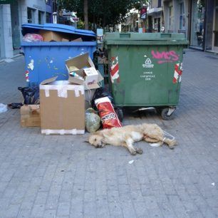 karditsa (1)